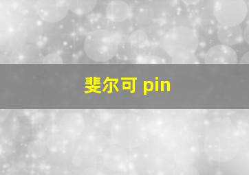 斐尔可 pin